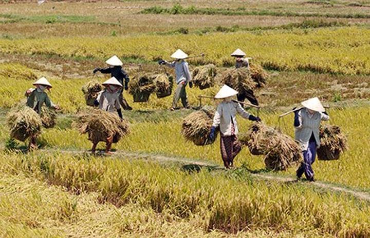 Hotspot Matrix và Bảo Anh, Phương Mỹ Chi và loạt sao Việt bị réo tên vào drama của Bảo