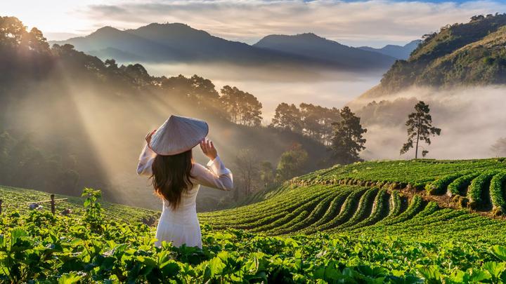 Trong những năm gần đây, xu hướng về thể thao và sức khỏe ngày càng trở nên
