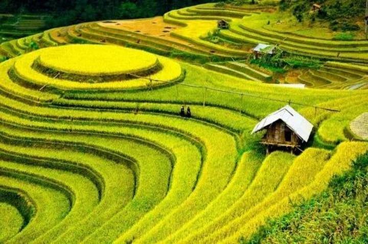 Thương mại hóa nội dung: Chìa khóa vàng trong kỷ nguyên video ngắn