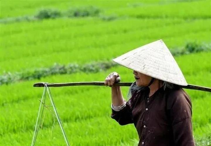 Xu hướng Ông Donald Trump cùng gia: Hotspot Matrix tiết lộ bí quyết video viral